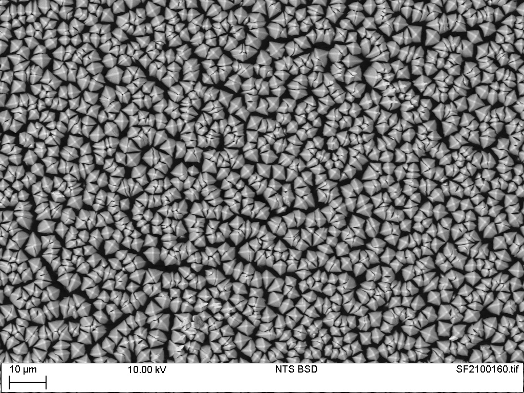 (CsI) μm scale Images from Scanning Electron Microscope