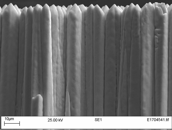μm scale images of Thallium doped micro-columnar Caesium Iodide (CsI)